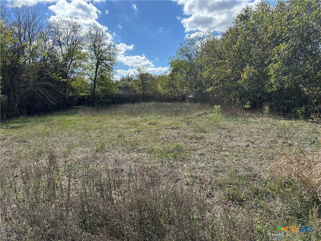 709 Locust Street - Photo 1