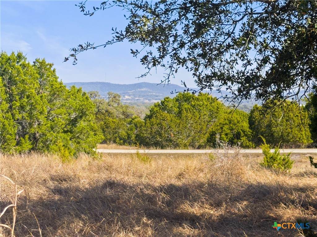 1046 Buckskin Trail - Photo 1