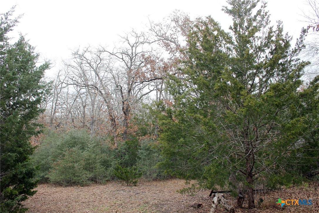 https://bt-photos.global.ssl.fastly.net/centraltx/orig_boomver_1_606446-2.jpg
