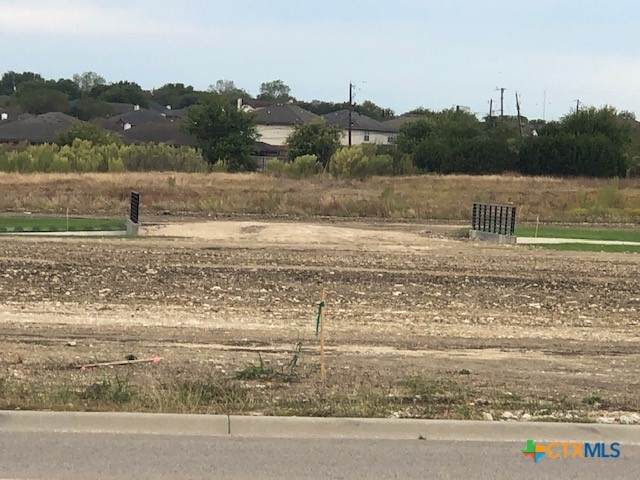 4810 Rose Garden Loop - Photo 1