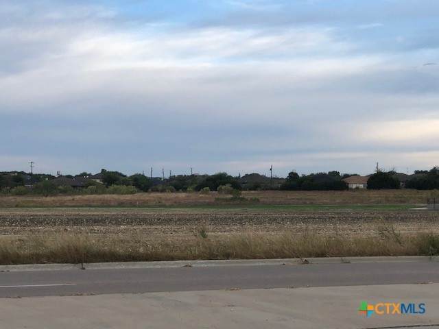 4906 Rose Garden Loop - Photo 1