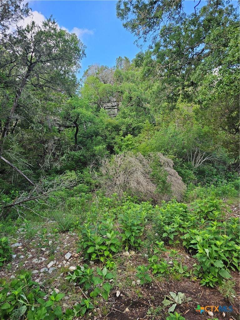 0 Happy Hollow - Photo 1