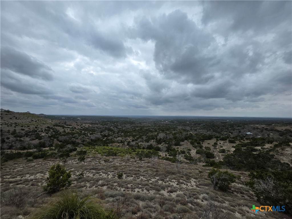 1017 Montell Road - Photo 1