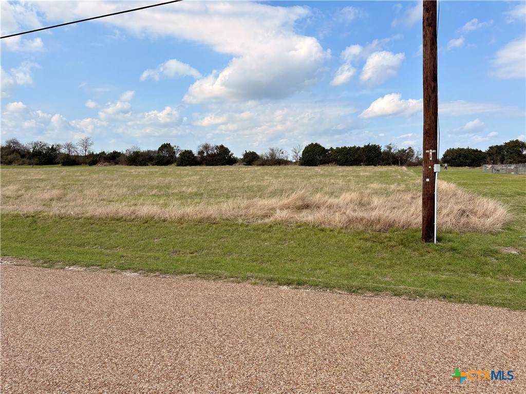 TBD Cedar Mountain Road - Photo 1