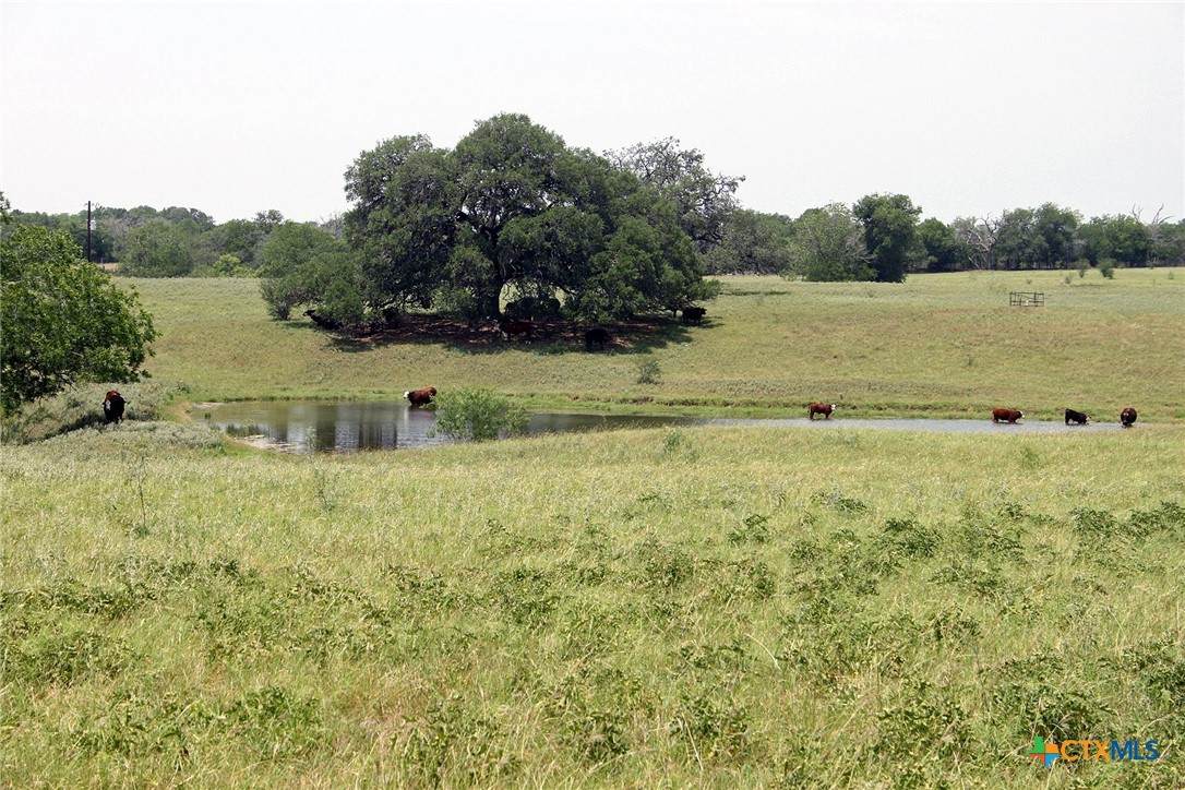 TBD Old Mcmahan Road - Photo 1