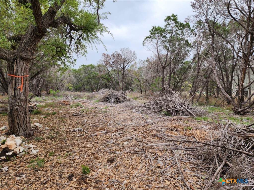 1745 Moon View Drive - Photo 1