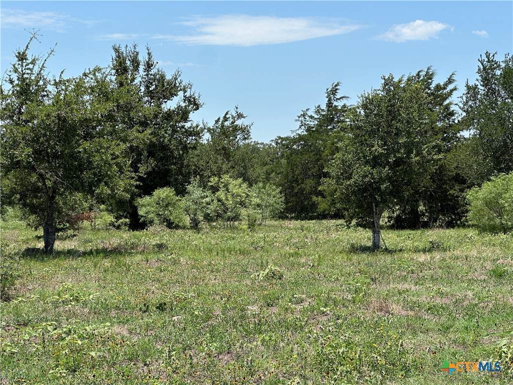 Tract 3D Hwy 95 - Photo 1