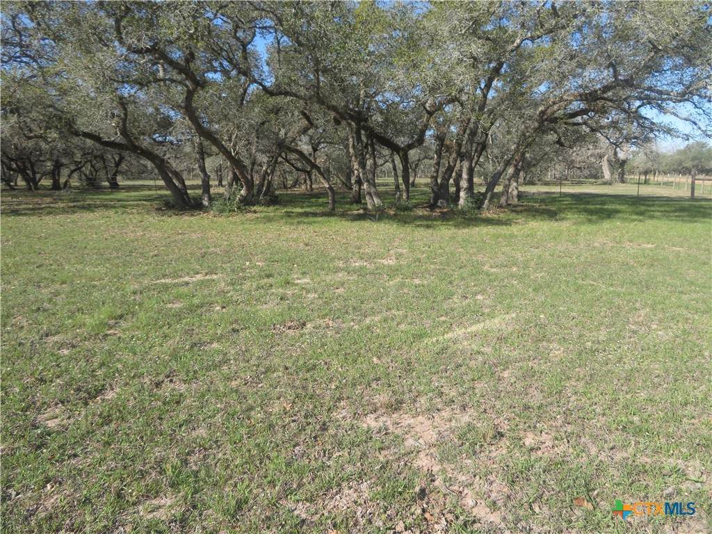 1923 Co Rd 286 - Photo 1
