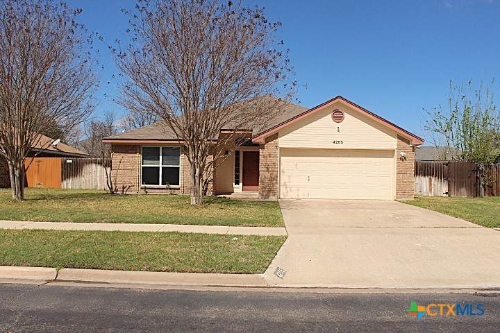4205 Pepper Mill Hollow - Photo 1