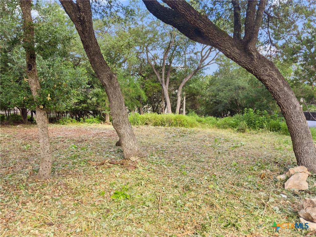 https://bt-photos.global.ssl.fastly.net/centraltx/orig_boomver_1_608683-2.jpg