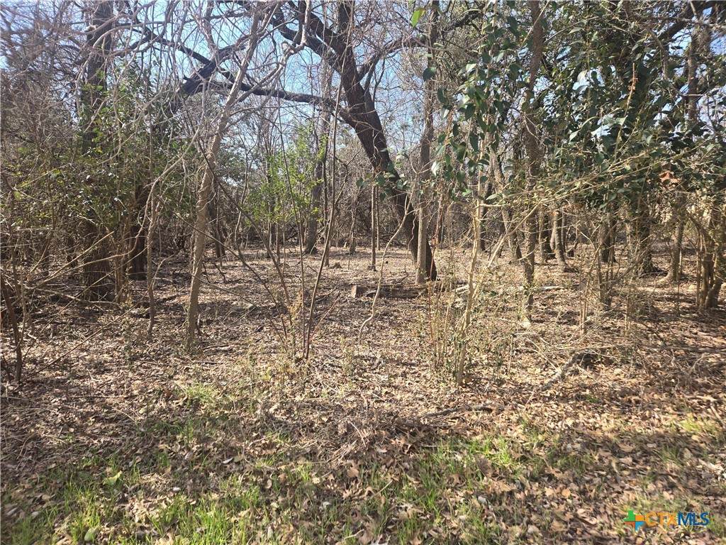 TBD Estate Trail - Photo 1