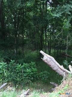 920 Mills Way - Photo 1