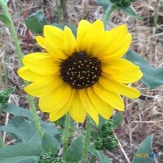 https://bt-photos.global.ssl.fastly.net/centraltx/orig_boomver_1_609464-2.jpg