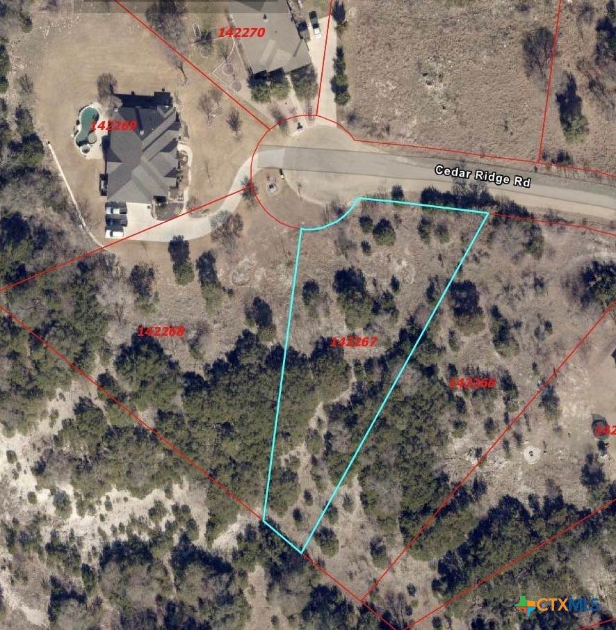 1113 Cedar Ridge Road - Photo 1