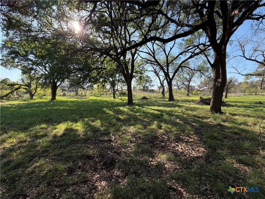 118 Guadalupe Drive - Photo 1