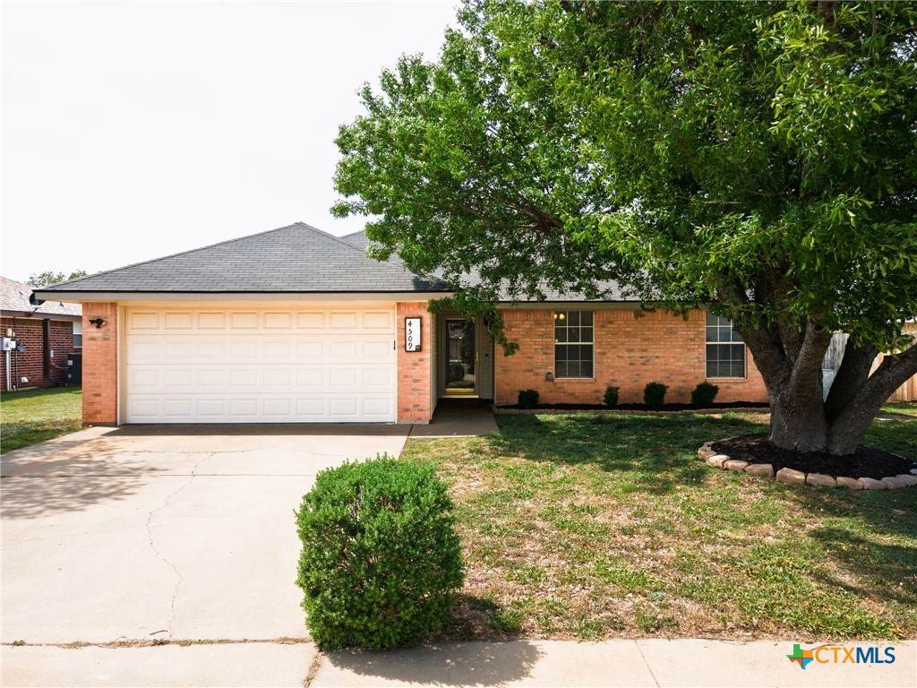 4509 Blueduck Drive - Photo 1