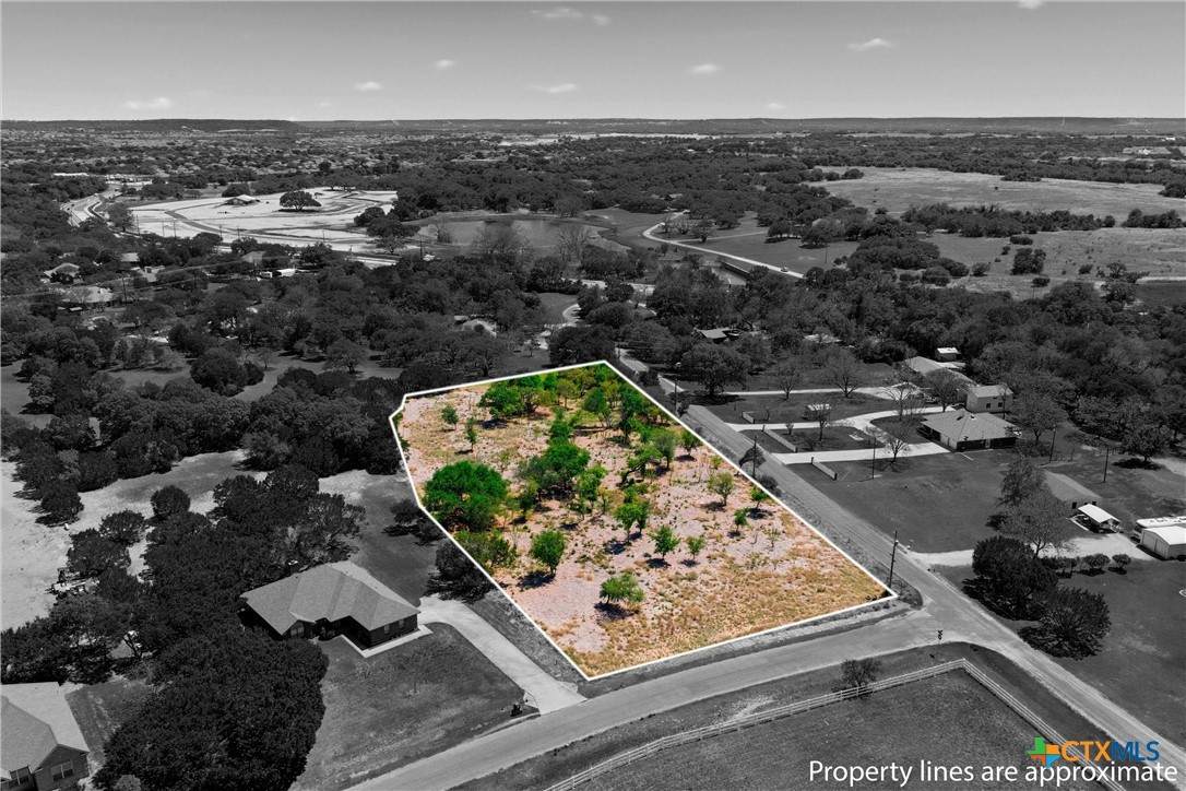 160 Sassi Lane - Photo 1
