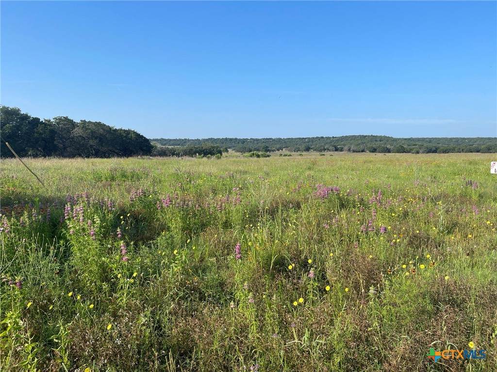 Lot 11 Fm 1690 - Photo 1