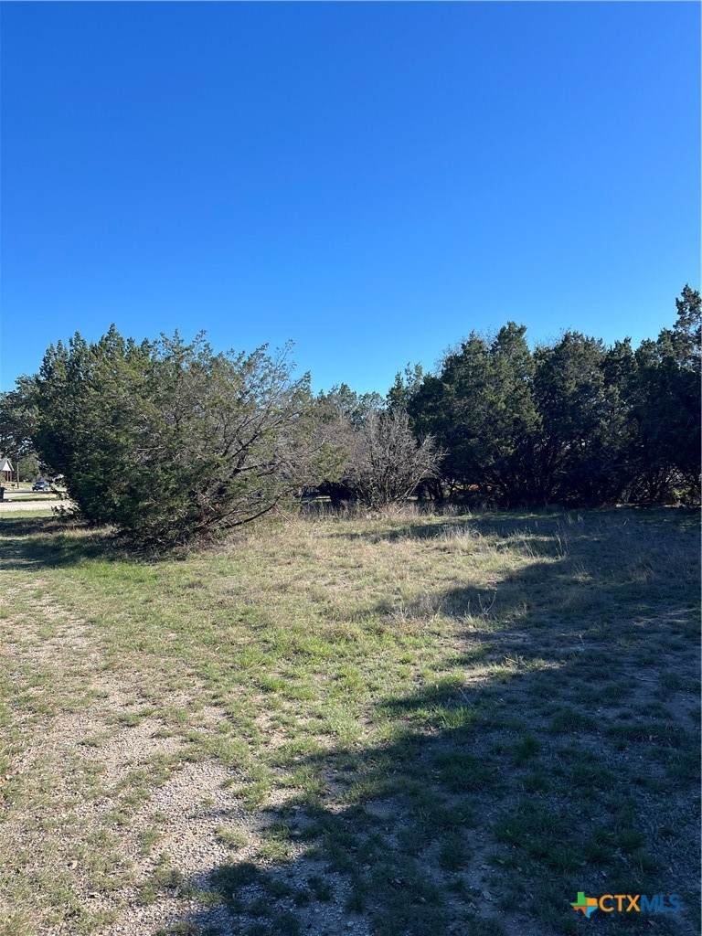 1309 and 1321 Lakeview Drive - Photo 1