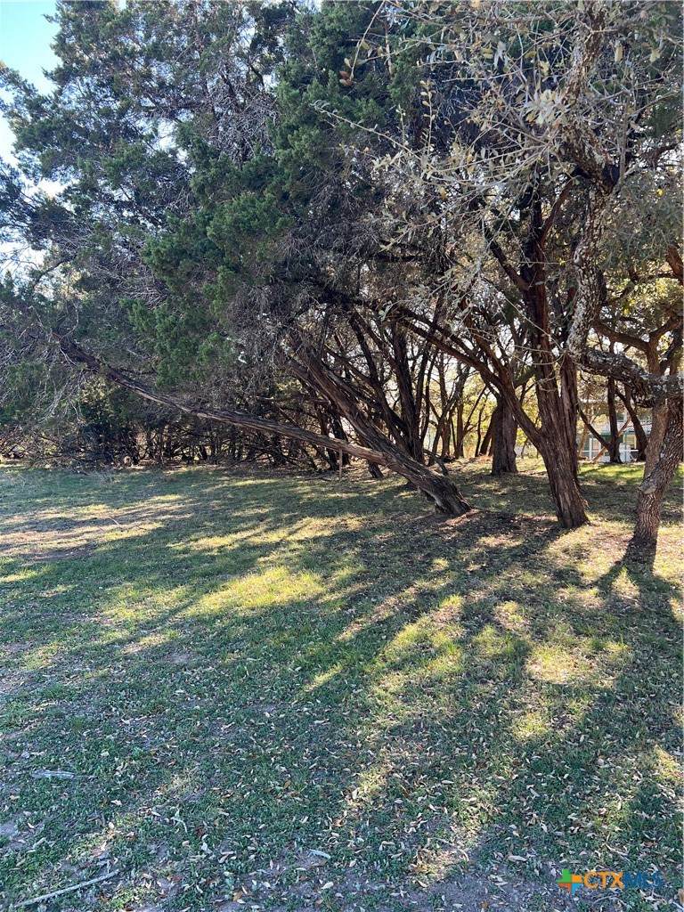 https://bt-photos.global.ssl.fastly.net/centraltx/orig_boomver_1_610026-2.jpg