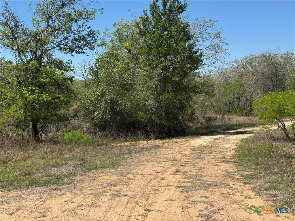 00 Dowdy Road - Photo 1