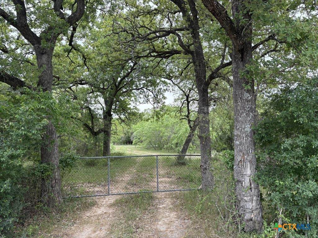 0 Anchor Ranch Loop - Photo 1