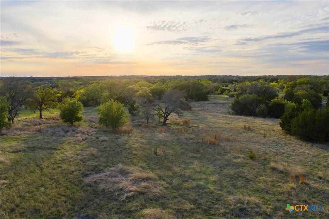 405 Blackjack Oak Drive - Photo 1