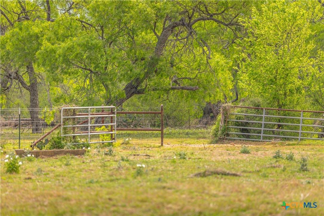 https://bt-photos.global.ssl.fastly.net/centraltx/orig_boomver_1_610536-2.jpg