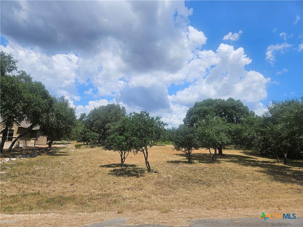 263 Paradise Hills - Photo 1