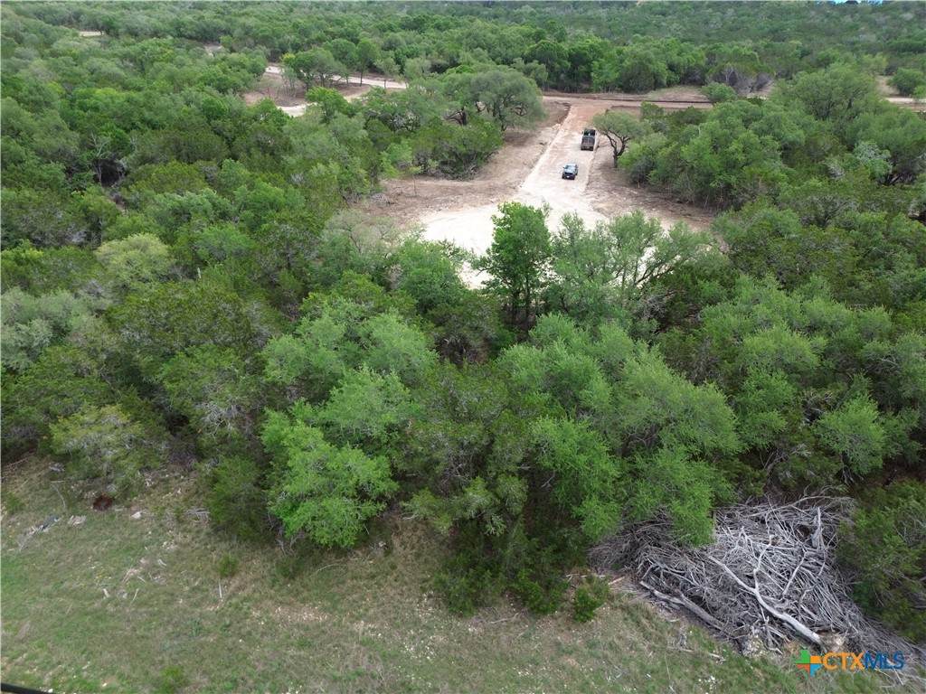 TBD Lot 48 Juniper Ridge - Photo 1
