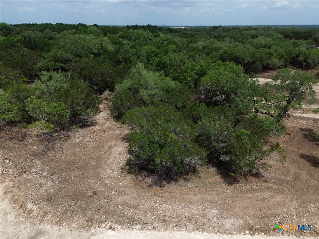 TBD Lot 46 Juniper Ridge - Photo 1