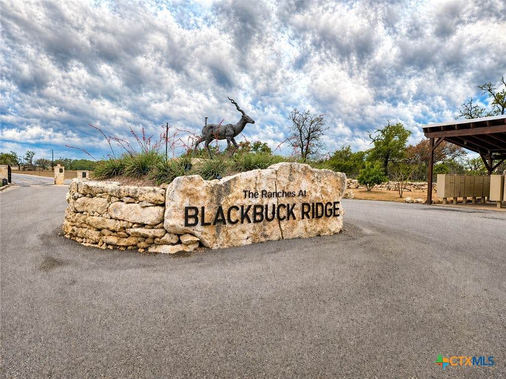 Lot 162 Addax Court - Photo 1