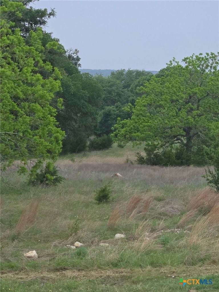 TBD Yosemite Dr. Lot# 202 Drive - Photo 1