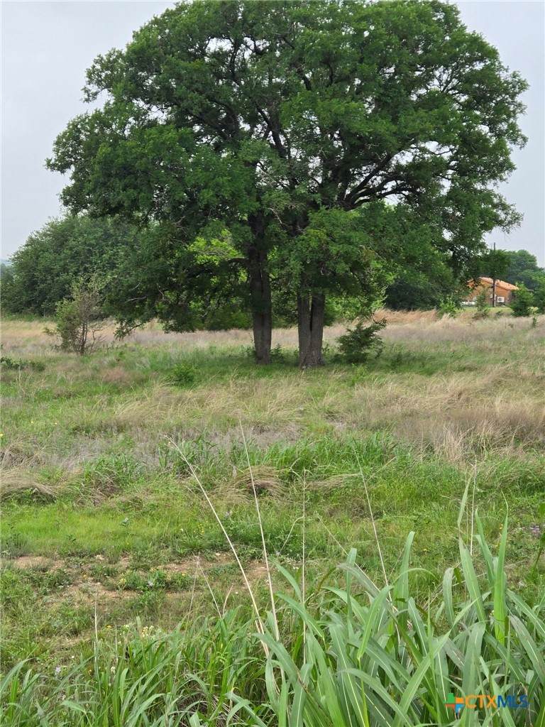 https://bt-photos.global.ssl.fastly.net/centraltx/orig_boomver_1_611892-2.jpg
