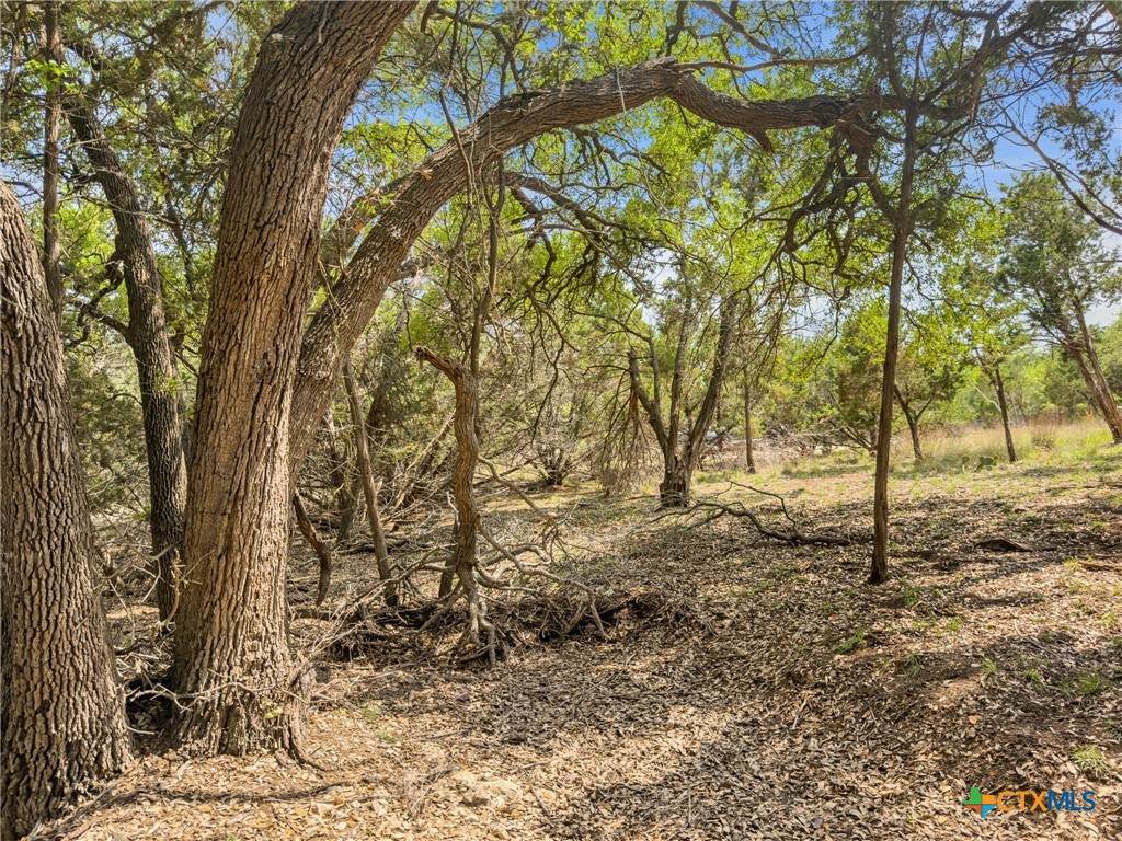 369 Onion Creek Lane - Photo 1