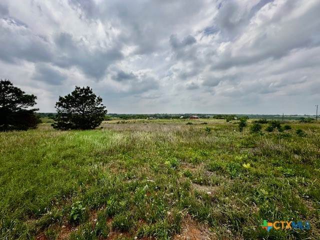 180 Santa Gertrudis Dr - Photo 1