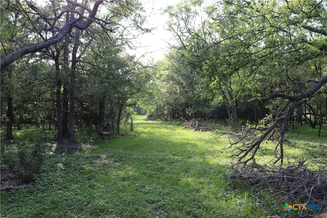 320 Hillcrest Lane - Photo 1