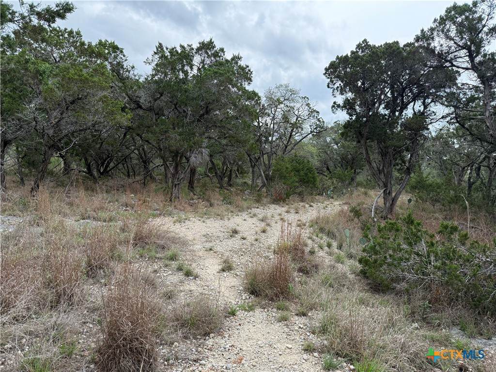 https://bt-photos.global.ssl.fastly.net/centraltx/orig_boomver_1_612564-2.jpg