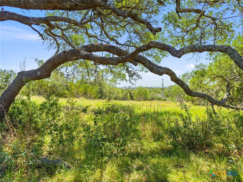 https://bt-photos.global.ssl.fastly.net/centraltx/orig_boomver_1_612723-2.jpg