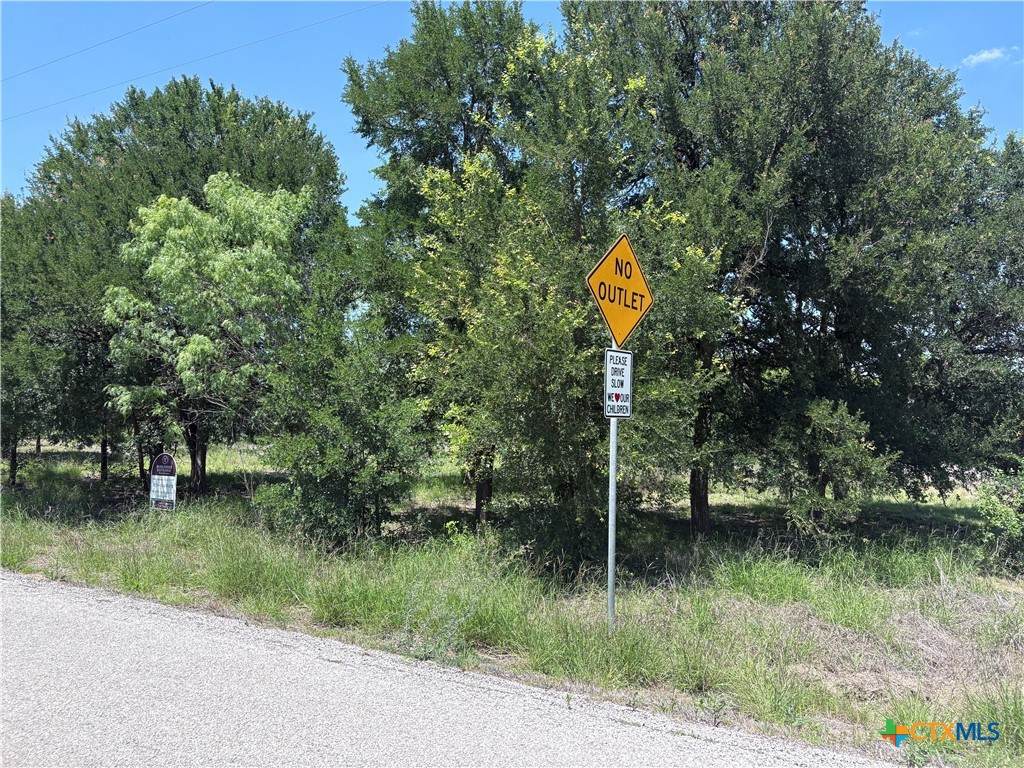 210 Horace Howard Drive - Photo 1