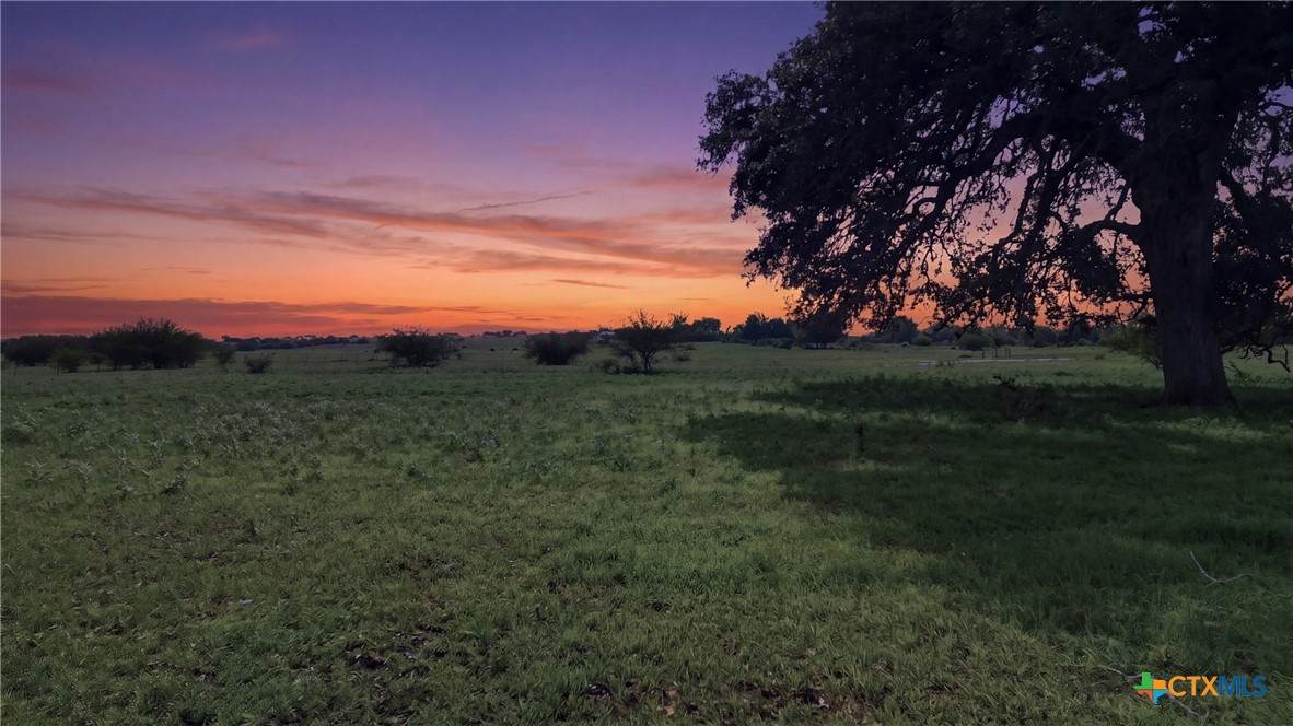 1883 Turkey Bottom Road - Photo 1