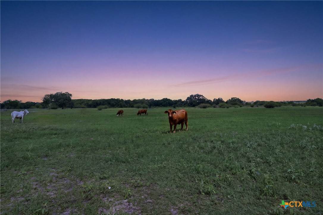https://bt-photos.global.ssl.fastly.net/centraltx/orig_boomver_1_612912-2.jpg