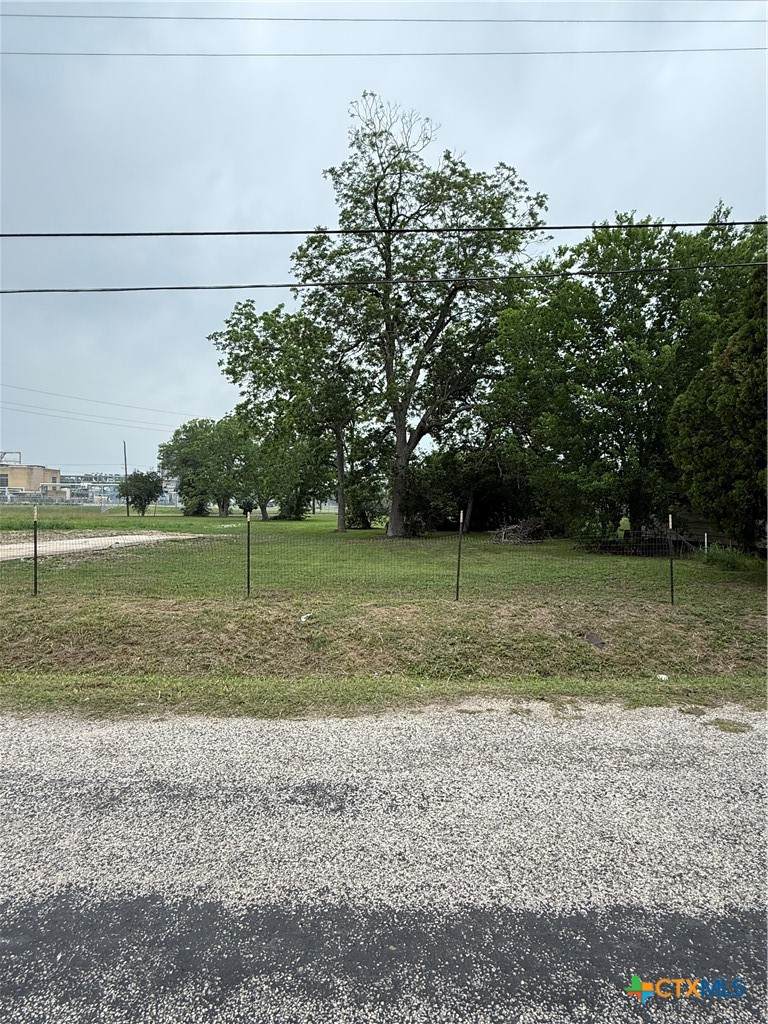 1105 De Leon St. Street - Photo 1