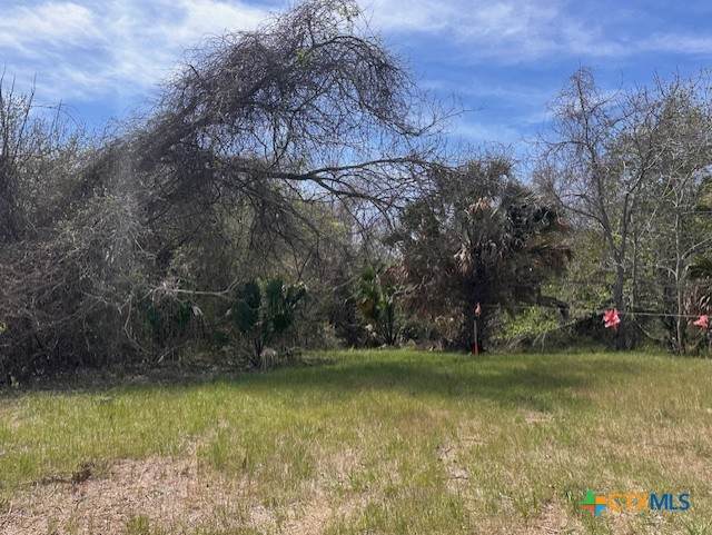 271 Fm 884 - Photo 1