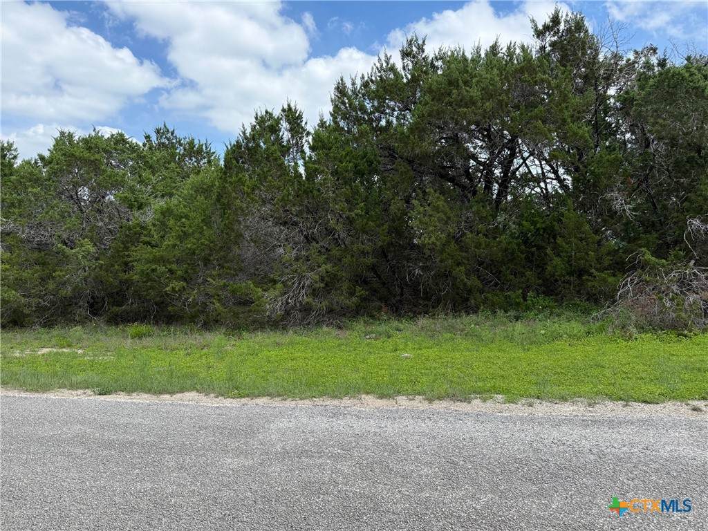 1252 High Hills Drive - Photo 1