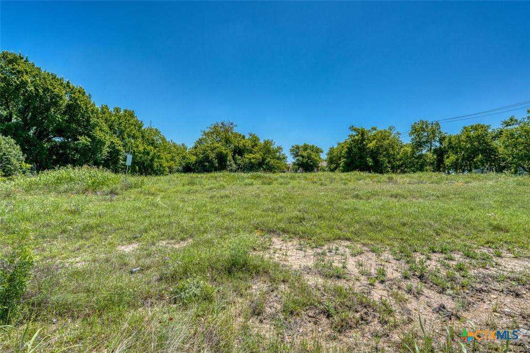 TBD N Mary Jo Drive - Photo 1