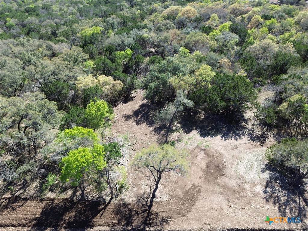TBD Lot 14 Silverleaf Ridge - Photo 1