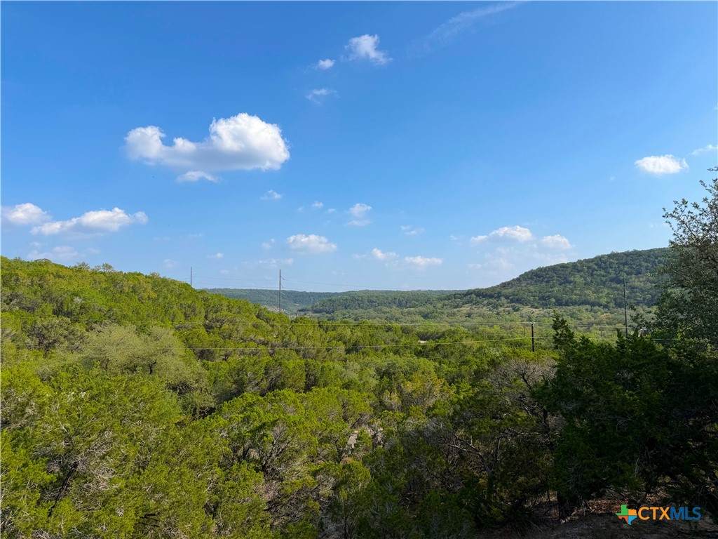1362 Rockmoor - Photo 1