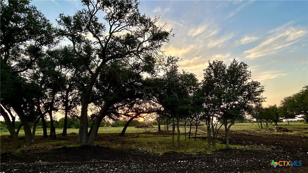101 Pr 1295 - Photo 1