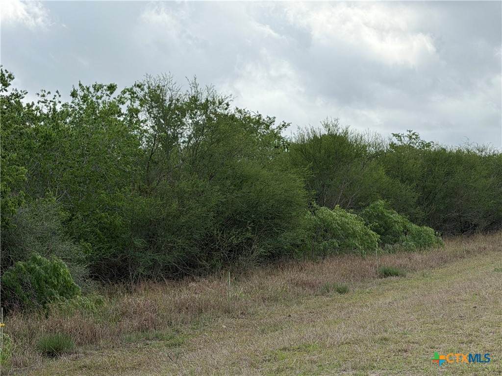 https://bt-photos.global.ssl.fastly.net/centraltx/orig_boomver_1_613242-2.jpg